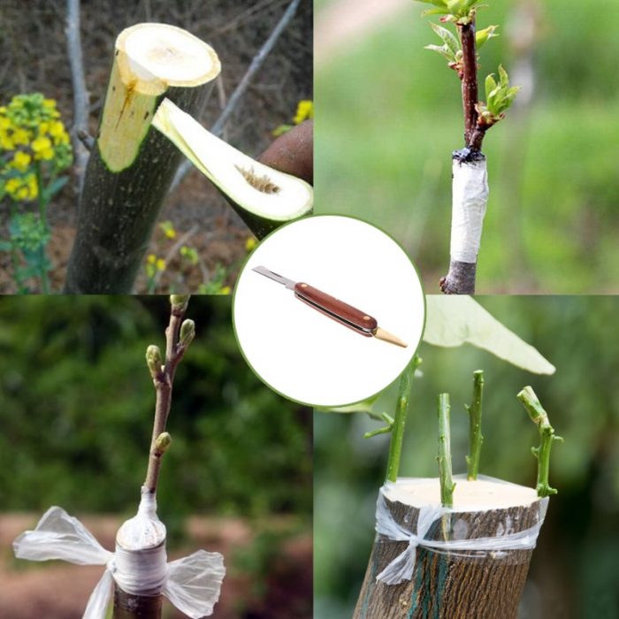 Gardening Pruning Tools Grafting Pruning Hand Tools Garden Foldable Grafting Cutter Pruning Seedling Tree Scissor Cutting Tools