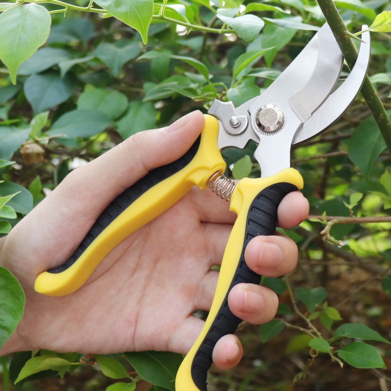 Stainless Steel Garden Pruning Shears Fruit Picking Scissors Household Potted Trim Weed Branches Small Scissors Gardening Tools