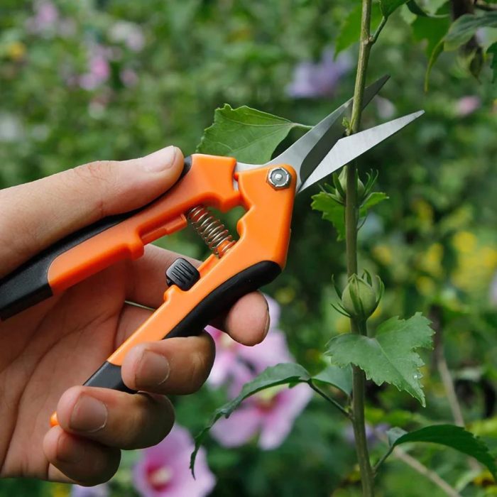 Multifunctional Straight Garden Pruning Shears Whic Cut Diameter Fruit Trees Flowers Branches and Scissors Branch Shears Tools