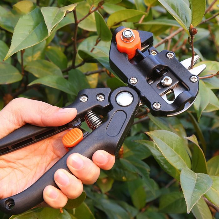 Professional Home Garden Fruit Tree Nursery Pruning Shears Grafting Scissors Secateurs Grafting Pruning Scissors Cutting Tools