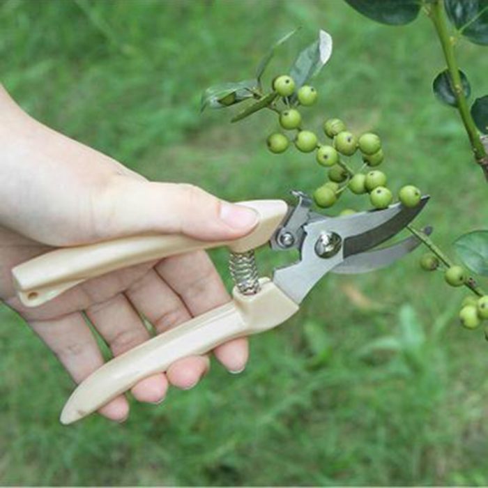 Garden Pruning Shears Grafting Hand Tool Gardening Pruning Shear Scissor Branch Tools Shear Garden Accessories