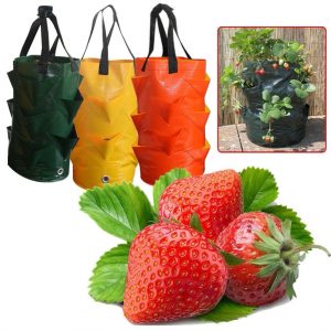 Strawberry Planting Bag Creative Multi-mouth Container Bag Grow Planter Pouch Root Plant Growing Pot Bag Side Home Garden Tool