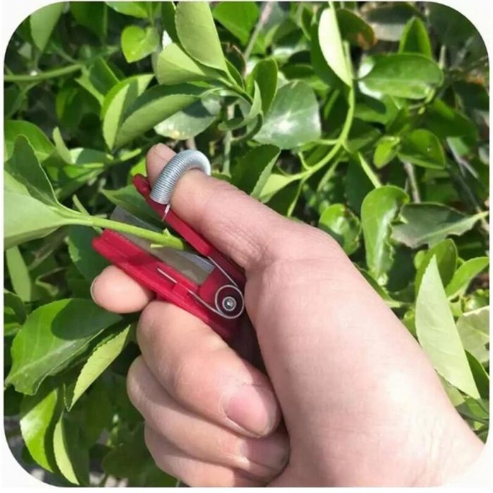 Vegetable Picking Tool Thump Knife Separator Vegetable Fruit Harvesting Picking Tool for Farm Garden Orchard